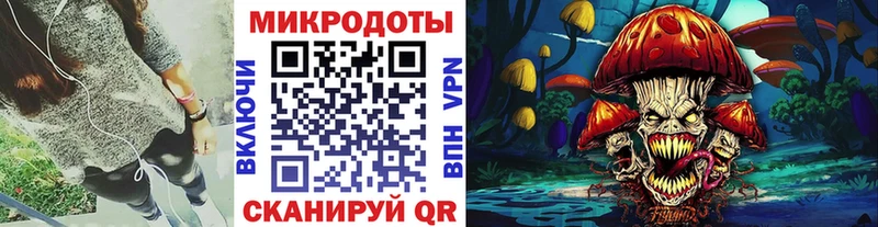 Купить закладки  Наволоки  Псилоцибиновые грибы Psilocybe 